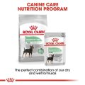 Royal Canin Digestive Care Wet Loaf in Sauce 85g