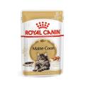 Royal Canin Maine Coon Adult Cat Wet Food Pouch 85g