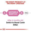 Royal Canin Mother & Baby Cat Food 2kg