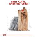 Royal Canin Yorkshire Terrier Adult Wet Food Pouch 85g