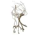 Whiskers Wood Decoration 25-30cm