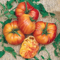 Big Rainbow Tomato - Lycopersicon Esculentum - Heirloom Vegetable - 10 Seeds