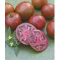 Black Prince Tomato - Lycopersicon Esculentum - Russian Heirloom Vegetable - 5 Seeds