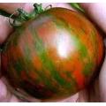 Rambling Red Stripe - Container Tomato - Trailing Vine - Lycopersicon Esculentum - 5 Seeds