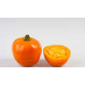 Valencia Tomato - Lycopersicon Esculentum - Heirloom Vegetable - 5 Seeds
