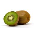 Kiwi Fruit - Bulk Fruit Seeds - 200 Seeds