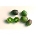 Actinidia arguta - Kiwi berry - Kiwi Fruit variety - Exotic Shrub - 5 Seeds