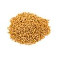 Yellow Mustard - Heirloom Vegetable - 200 Seeds
