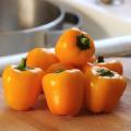 Cute Stuff Gold Mini Bell Pepper - Capsicum Annuum - 5 Seeds - The Patio Vegetable Collection