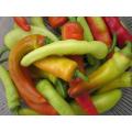 Hungarian Sweet Wax Pepper - Capsicum Annuum - Sweet Pepper Vegetable - 30 Seeds