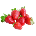 Roman F1 Strawberry - Fragaria - Easy to grow Container Strawberry - Fruit - 5 Seeds