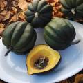 Table Queen Acorn Squash - ORGANIC - Heirloom Vegetable - 10 Seeds