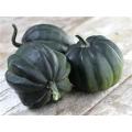 Table Queen Acorn Squash - ORGANIC - Heirloom Vegetable - 10 Seeds