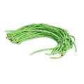 Chinese / Thai Green Yard Long Beans - Heirloom Vegetable - Vigna sesquipedalis - 5 Seeds