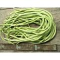 Chinese / Thai Yard Long Beans - Heirloom Vegetable - Vigna sesquipedalis - 5 Seeds