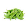 Sugar Queen Snap / Snow Peas - Pisum sativum - Vegetable - 20 Seeds
