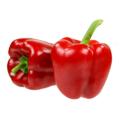 Santorini Red Sweet Bell Pepper - Capsicum Annuum - 10 Seeds