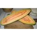 Banana Melon -  Heirloom Fruit - Cucumis Melo - 20 Seeds