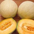 Iroquois Melon -  Heirloom Fruit - Cucumis Melo - 20 Seeds