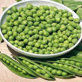 Little Marvel Heirloom Peas - Pisum Sativum - Vegetable - 5 Seeds