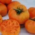 Kelogg's Breakfast Tomato - Lycopersicon Esculentum - Vegetables - 10 Seeds - ORGANIC