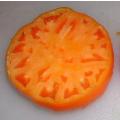 Kelogg's Breakfast Tomato - Solanum lycopersicon - Heirloom Vegetable - 10 Seeds