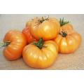Kelogg's Breakfast Tomato - Solanum lycopersicon - Heirloom Vegetable - 10 Seeds