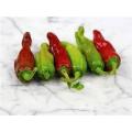Pepperoncini Chilli Pepper - ORGANIC - Italian Heirloom Vegetable - 10 Seeds