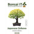 Bonsai IT - Japanese Zelkova - Zelkova serrata - Kit 12