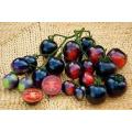 Indigo Rose Tomato - Lycopersicon Esculentum - Health Properties / NON GMO - 5 Seeds