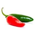 Jalapeno Chilli Pepper - ORGANIC - Heirloom Vegetable - 50 Seeds