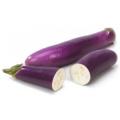 Long Purple Eggfruit - ORGANIC - Heirloom Vegetable - 40 Seeds