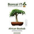 Bonsai IT - African Baobab - Adansonia digitata - Kit 1
