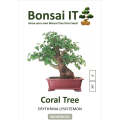 Bonsai IT - Coral Tree - Erythrina lysistemon - Kit 6