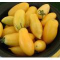 Banana Legs Heirloom Tomato - Lycopersicon Esculentum - Vegetables - 20 Seeds