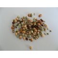 Chunky Salad Mix - Sprouting Seeds