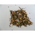 Health Salad Mix - Sprouting Seeds