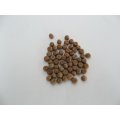 Maple Peas - Sprouting Seeds - 100 gram