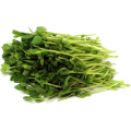Green Peas - Sprouting / Microgreen Seeds