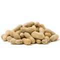 Peanut Seeds - Arachis Hypogaea - Sprouting / Planting Seeds - 100 Gram Peanut Seeds