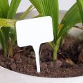25 Pack - White Plastic Plant Markers T Shaped