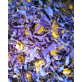 Blue Lotus Flowers - 15g