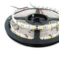 LED Striplight 12V - 5050 Waterproof (5M Roll)
