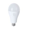 LED Emergency Rechargeable A60 Bulb - 12W