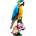 31136 Exotic Parrot Creator