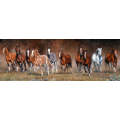 Puzzle 1000pc Free Time (Panoramic) (Horses)