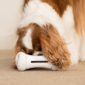 Smart Bone - Interactive Dog Toy (In White)