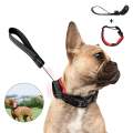 Retractable Dog Leash and Collar for Small Dogs