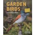 Garden Birds in South Africa: Attract, Identify, Enjoy | Duncan Butchart