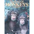 The Love of Monkeys and Apes | Dan Freeman